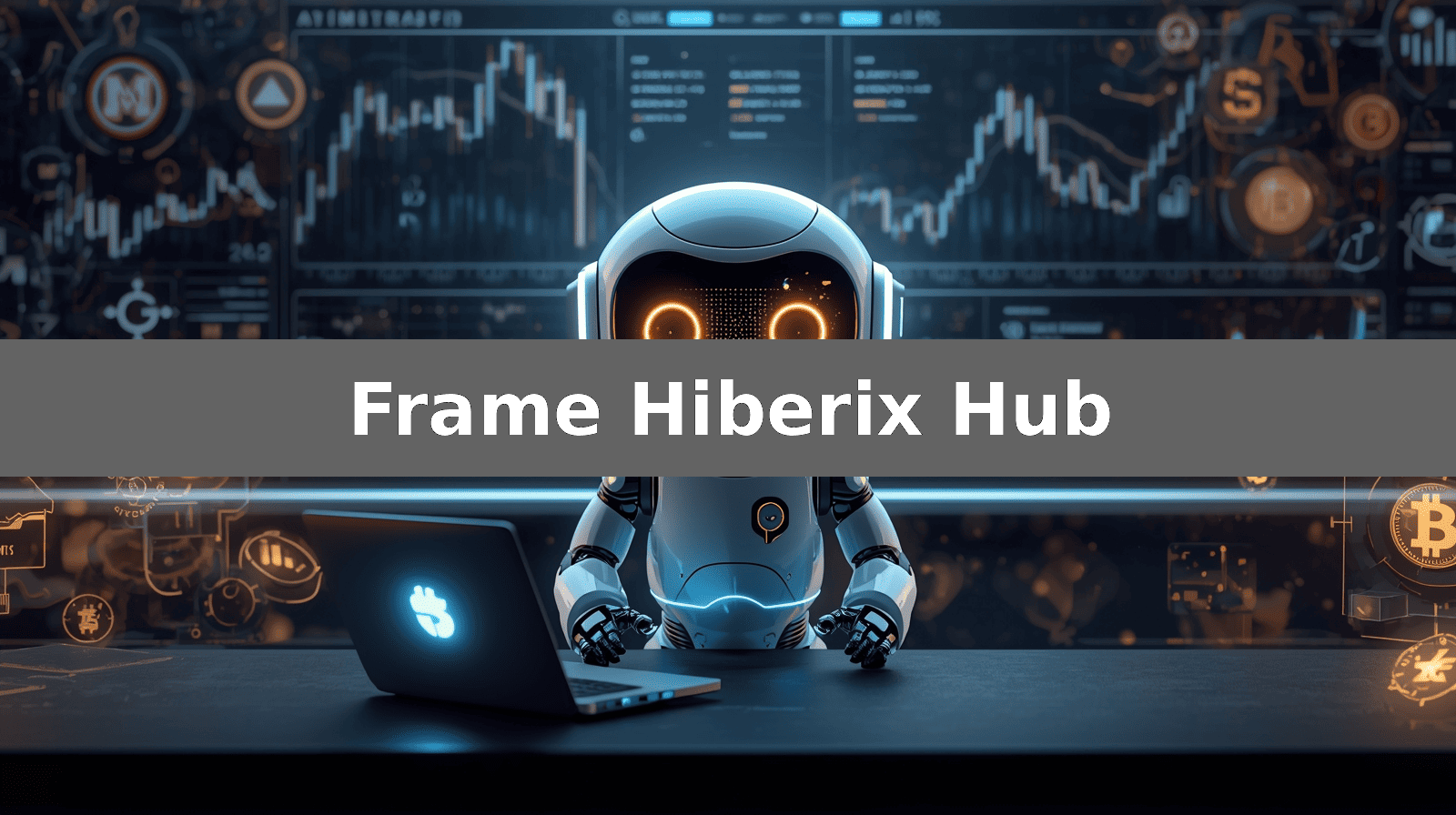 Frame Hiberix Hub