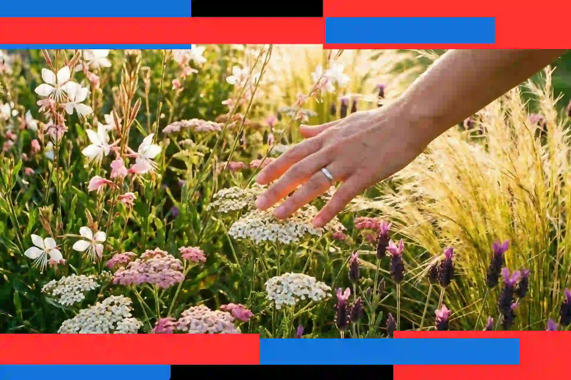 Fleurs.webp.webp