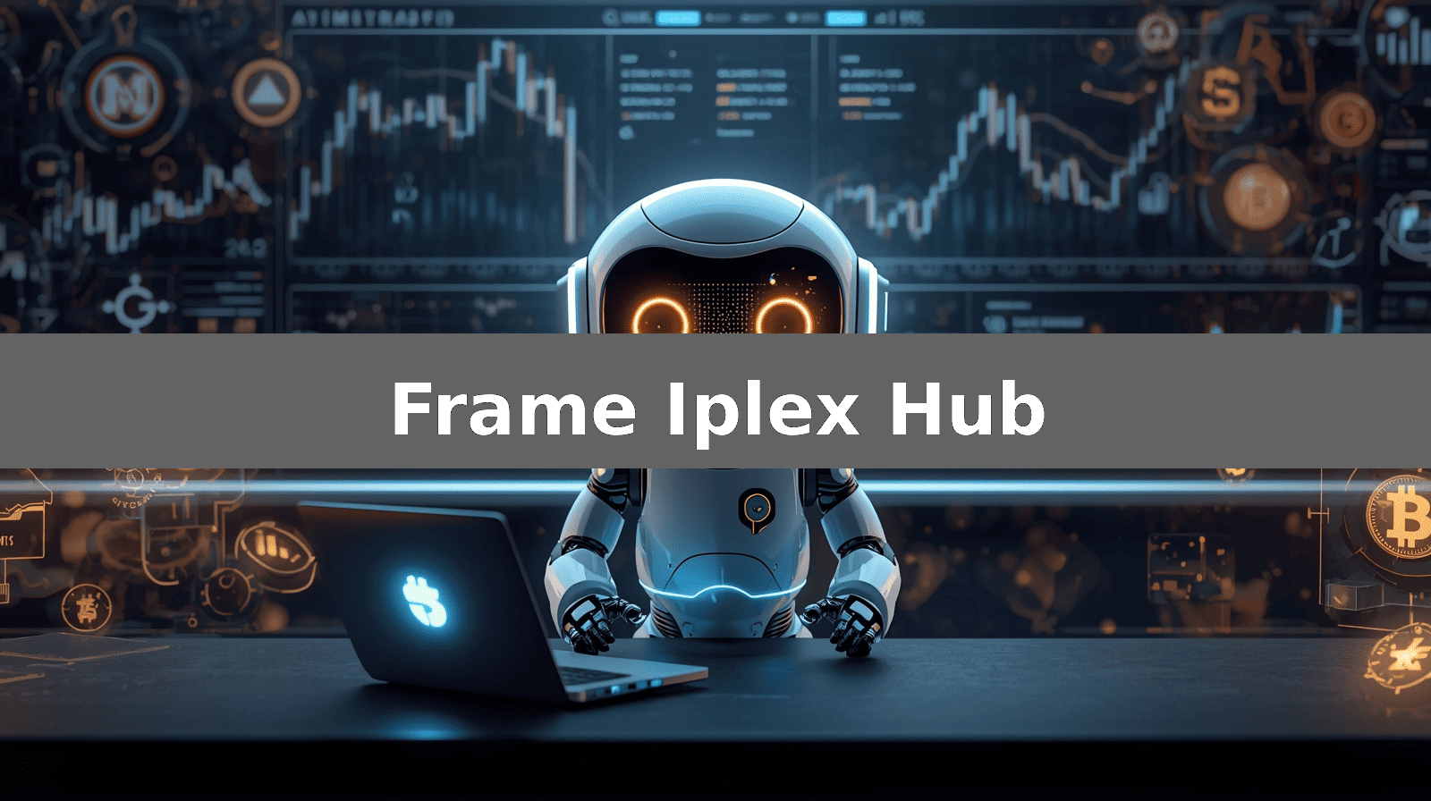 Frame Iplex Hub
