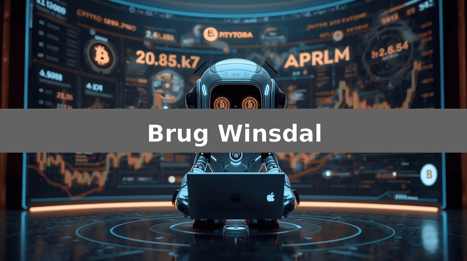 Brug Winsdal